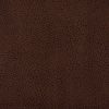 Velvet Plain Color