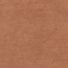 Velvet Plain Color